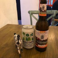 Drinks at Vegan Hippo in London