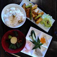  at Sakura Saku in Himeji