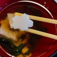  at Sakura Saku in Himeji