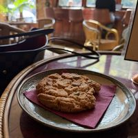   at Dobra Tea in Asheville