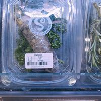 Wasabi at Saruga Organic Supermarket 사러가 슈퍼마켓 in Seoul