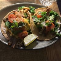Mushroom tacos  at Tomatillo in Dobbs Ferry
