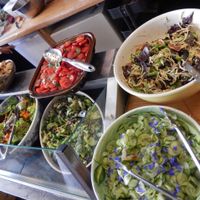 some of the salads at Seeds 2 Cafe in Totnes