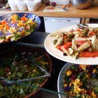 some of the salads in the buffet at Seeds 2 Cafe in Totnes