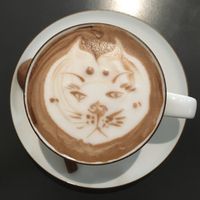 Hot cocoa grumpy cat at MuYe - Mottainai in Kaohsiung