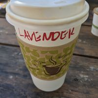 Medium lavender latte at Fat Cats in Austin