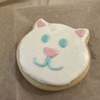 Fat cats cookie!  at Fat Cats in Austin