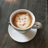 Double Cortada  at Fat Cats in Austin