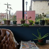 so cozy at Grindhaus Cafe in Buffalo