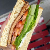 VLT at Grindhaus Cafe in Buffalo