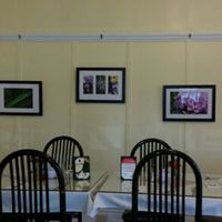 decor  at Black-Eyed Susan Acoustic Cafe in Angelica