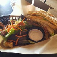 Squawker Texas Ranger at The Nile in Mesa