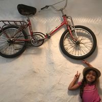 An appropriate decoration for this restaurant   at La Bicicleta in Cordoba