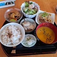 Lunch set: rice, kabocha soup, pickles, marinated potato + mix veg, fried noodle, and salad at Otera House in Kyoto