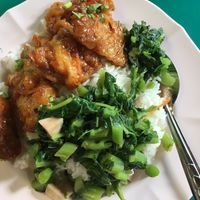 Fried sweet and sour mushrooms and sautéed greens with rice at Lumpini Park Morning Market Stall in Bangkok