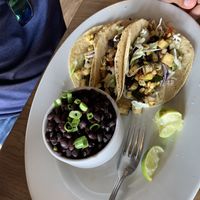 Zucchini tacos with a side of rice and beans  at Paladar Latin Kitchen in Woodmere