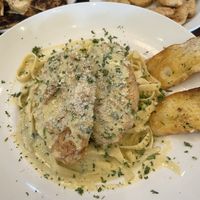 Chicken Alfredo dinner  at Lovin' Spoonfuls in Tucson