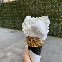   at Koun in Bratislava