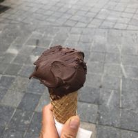   at Koun in Bratislava