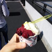 currant and pineapple at Koun in Bratislava