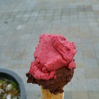 Vegan chocolate and blackberries sorbet at Koun in Bratislava
