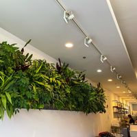 Aesthetics  at Alchemy - Southside in Columbus