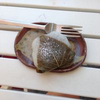 Sakura Mochi  at Matcha Komachi in Vienna