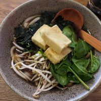 Tofu Udon at Matcha Komachi in Vienna