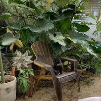 “Dita" at Suculenta in Tulum