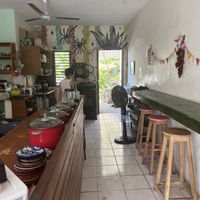 Inside  at Suculenta in Tulum