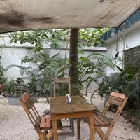   at Suculenta in Tulum