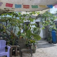   at Suculenta in Tulum