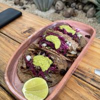 Tacos  at Suculenta in Tulum