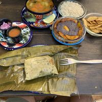   at Suculenta in Tulum