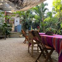   at Suculenta in Tulum
