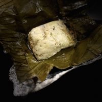 Tamale  at Suculenta in Tulum