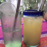   at Suculenta in Tulum