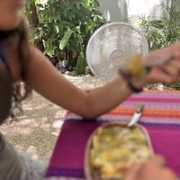   at Suculenta in Tulum