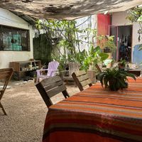 Lovely rear courtyard dining  at Suculenta in Tulum