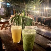   at Suculenta in Tulum