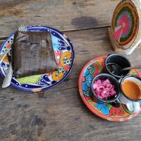  at Suculenta in Tulum