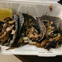 Oyster mushrooms tacos at Suculenta in Tulum