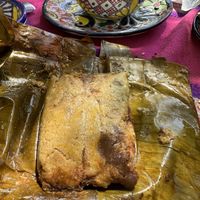   at Suculenta in Tulum