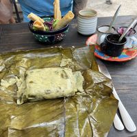 Taquitos and tamale raja  at Suculenta in Tulum
