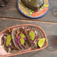  at Suculenta in Tulum