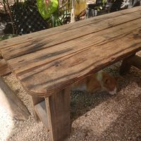  at Suculenta in Tulum