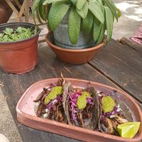  at Suculenta in Tulum