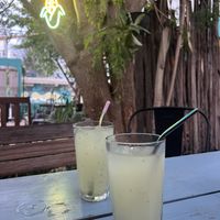   at Suculenta in Tulum