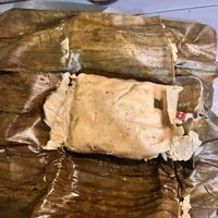 Tamales with pumpkin seeds dip  at Suculenta in Tulum