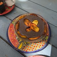   at Suculenta in Tulum